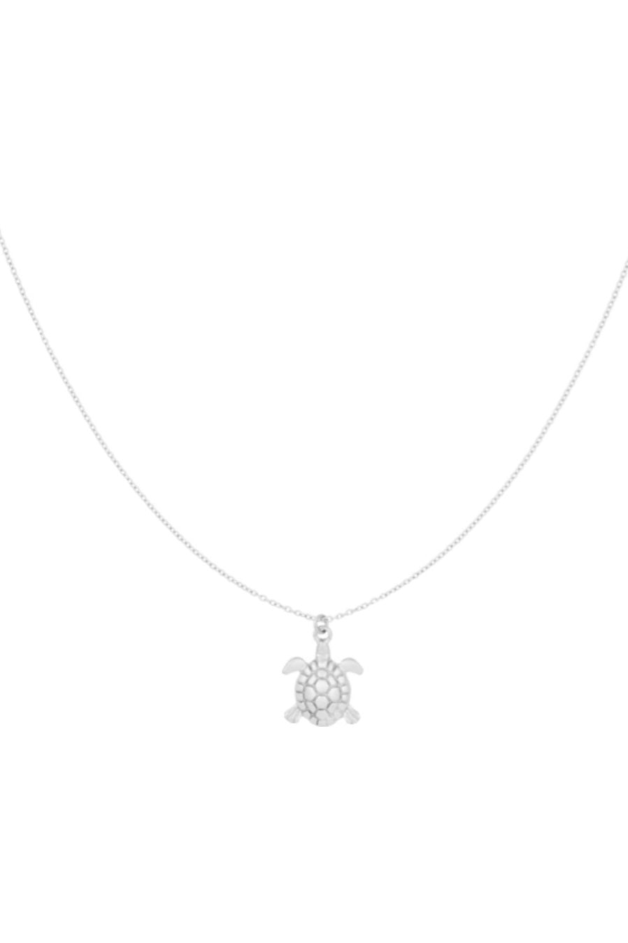 Turtle ketting zilver